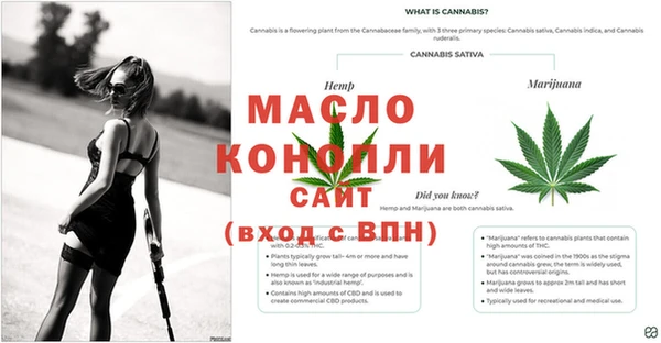 гашиш Белокуриха