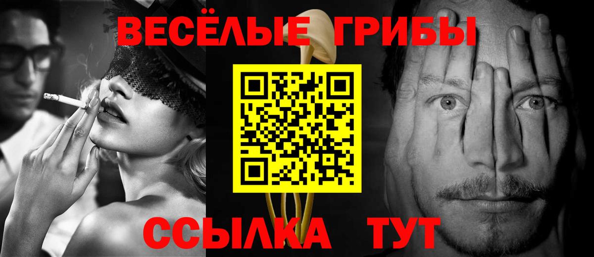 Псилоцибиновые грибы Cubensis  Псилоцибиновые грибы Psilocybine cubensis  как найти   Вход с VPN  Губкинский 